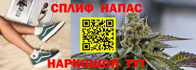 СК Славгород