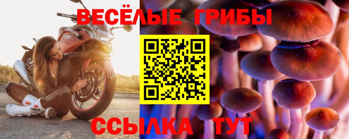 Галлюциногенные грибы Magic Shrooms  где купить   Отрадный  Вход с VPN 